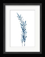 Farmhouse Leaves blue I Framed Print