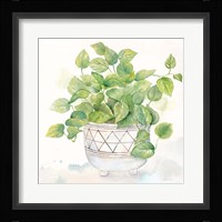 Houseplant I-Philodendron Fine Art Print
