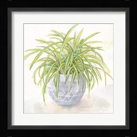 Houseplant II-Spider Plant Fine Art Print