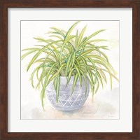 Houseplant II-Spider Plant Fine Art Print