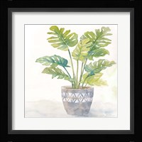Houseplant III-Split Leaf Philodendron Fine Art Print