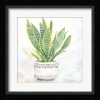 Houseplant IV-Snake Plant Fine Art Print