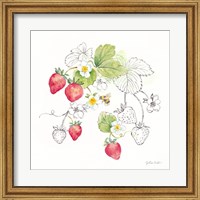 Berries and Bees II Fine Art Print