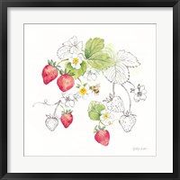 Berries and Bees II Fine Art Print