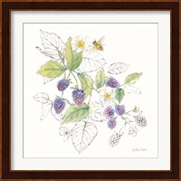 Berries and Bees III Fine Art Print