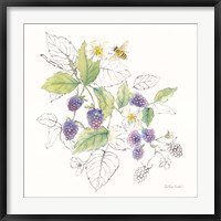 Berries and Bees III Fine Art Print