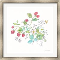 Berries and Bees V Fine Art Print