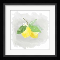 Life is Sweet III Framed Print