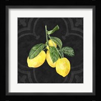 Live with Zest I Framed Print