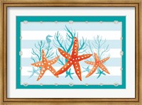 Coral Aqua II on Teal Fine Art Print