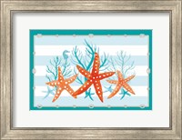 Coral Aqua II on Teal Fine Art Print