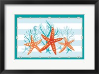 Coral Aqua II on Teal Framed Print