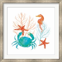 Coral Aqua VII Fine Art Print