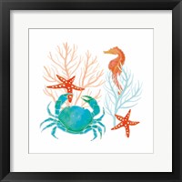 Coral Aqua VII Fine Art Print