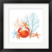Coral Aqua VIII Fine Art Print