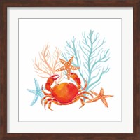 Coral Aqua VIII Fine Art Print