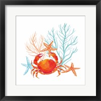 Coral Aqua VIII Framed Print
