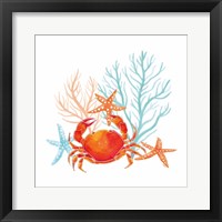 Coral Aqua VIII Fine Art Print