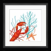 Coral Aqua IX Framed Print