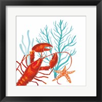 Coral Aqua IX Fine Art Print