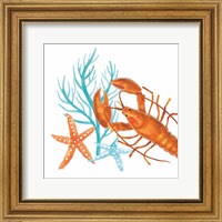 Coral Aqua X Fine Art Print