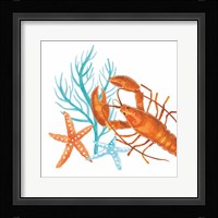 Coral Aqua X Framed Print