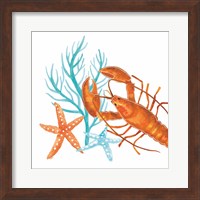 Coral Aqua X Fine Art Print