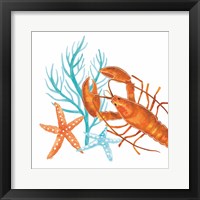 Coral Aqua X Fine Art Print