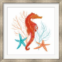 Coral Aqua XI Fine Art Print