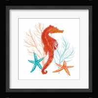 Coral Aqua XI Framed Print