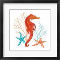 Coral Aqua XI Fine Art Print