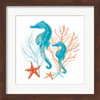 Coral Aqua XII Fine Art Print