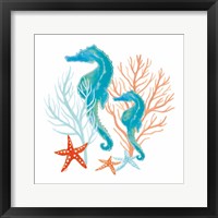 Coral Aqua XII Fine Art Print