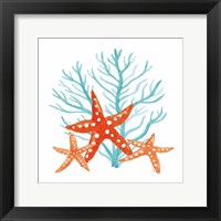 Coral Aqua XIII Fine Art Print