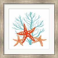 Coral Aqua XIII Fine Art Print