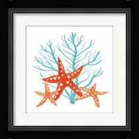 Coral Aqua XIII Framed Print