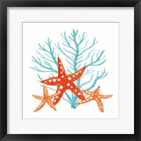 Coral Aqua XIII Framed Print