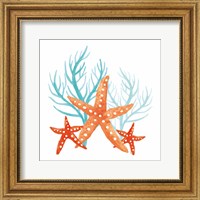 Coral Aqua XIV Fine Art Print
