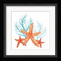 Coral Aqua XIV Framed Print