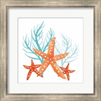 Coral Aqua XIV Fine Art Print