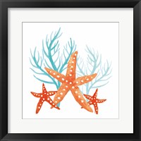 Coral Aqua XIV Framed Print