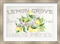 Lemon Grove I Fine Art Print