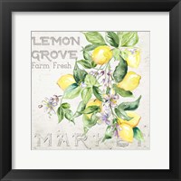 Lemon Grove II Framed Print