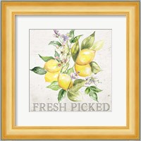 Lemon Grove III Fine Art Print