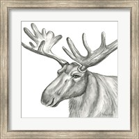 Watercolor Pencil Forest I-Moose Fine Art Print