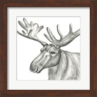 Watercolor Pencil Forest I-Moose Fine Art Print