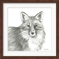 Watercolor Pencil Forest III-Fox Fine Art Print