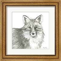 Watercolor Pencil Forest III-Fox Fine Art Print