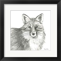 Watercolor Pencil Forest III-Fox Fine Art Print