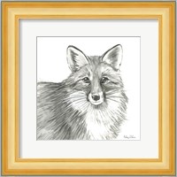 Watercolor Pencil Forest III-Fox Fine Art Print